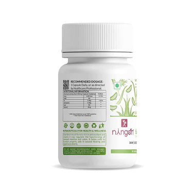 https://cdn.shopify.com/s/files/1/1857/6931/products/9YbujhK1Hv.jpg?v=1666424436